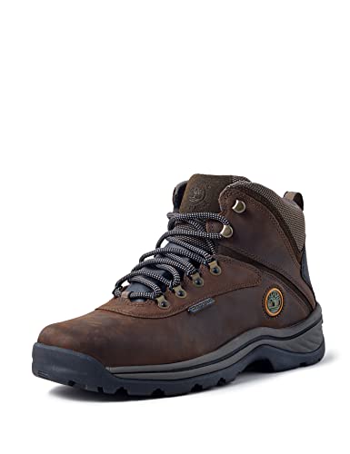 Timberland Men’s White Ledge Mid Waterproof Hiking Boot, Dark Brown, 12
