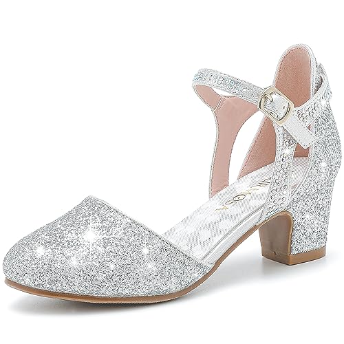 LAURMOSA Heels for Girls Silver Dress Shoes Girl Sandals for Wedding Party Dinner Closed Toe Low Chunky Block Ankle Strap Pump Shoes for Little Big Kids(L1013Silver 6)